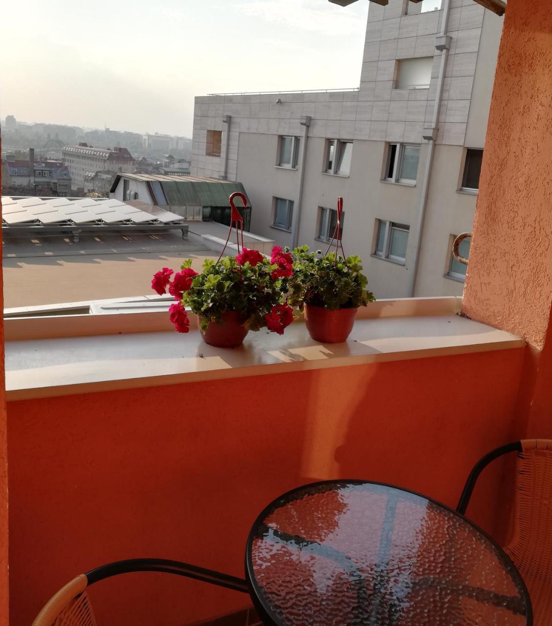 Milan&Jelena Apartement Belgrade Exterior photo